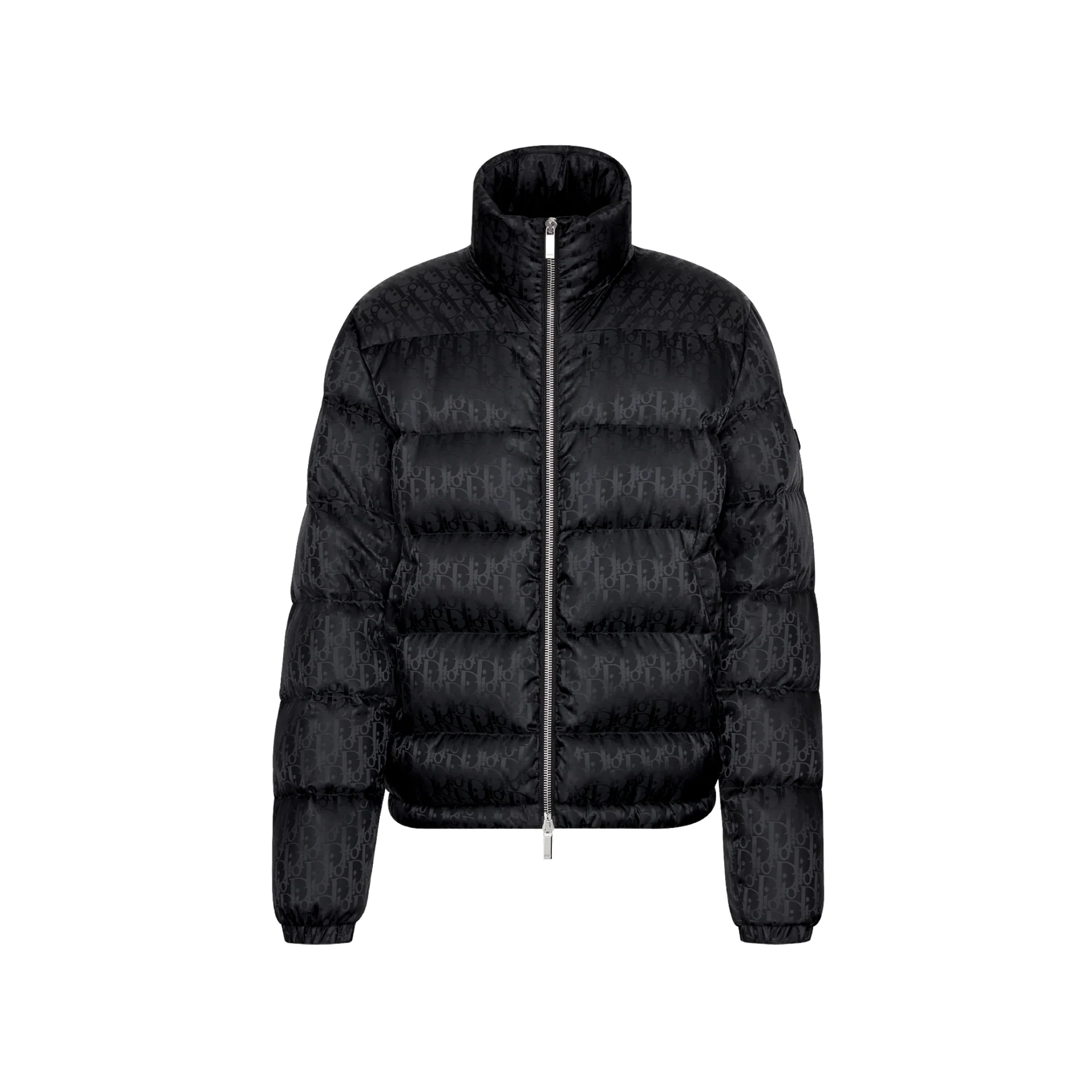 Dior Oblique Down Jacket