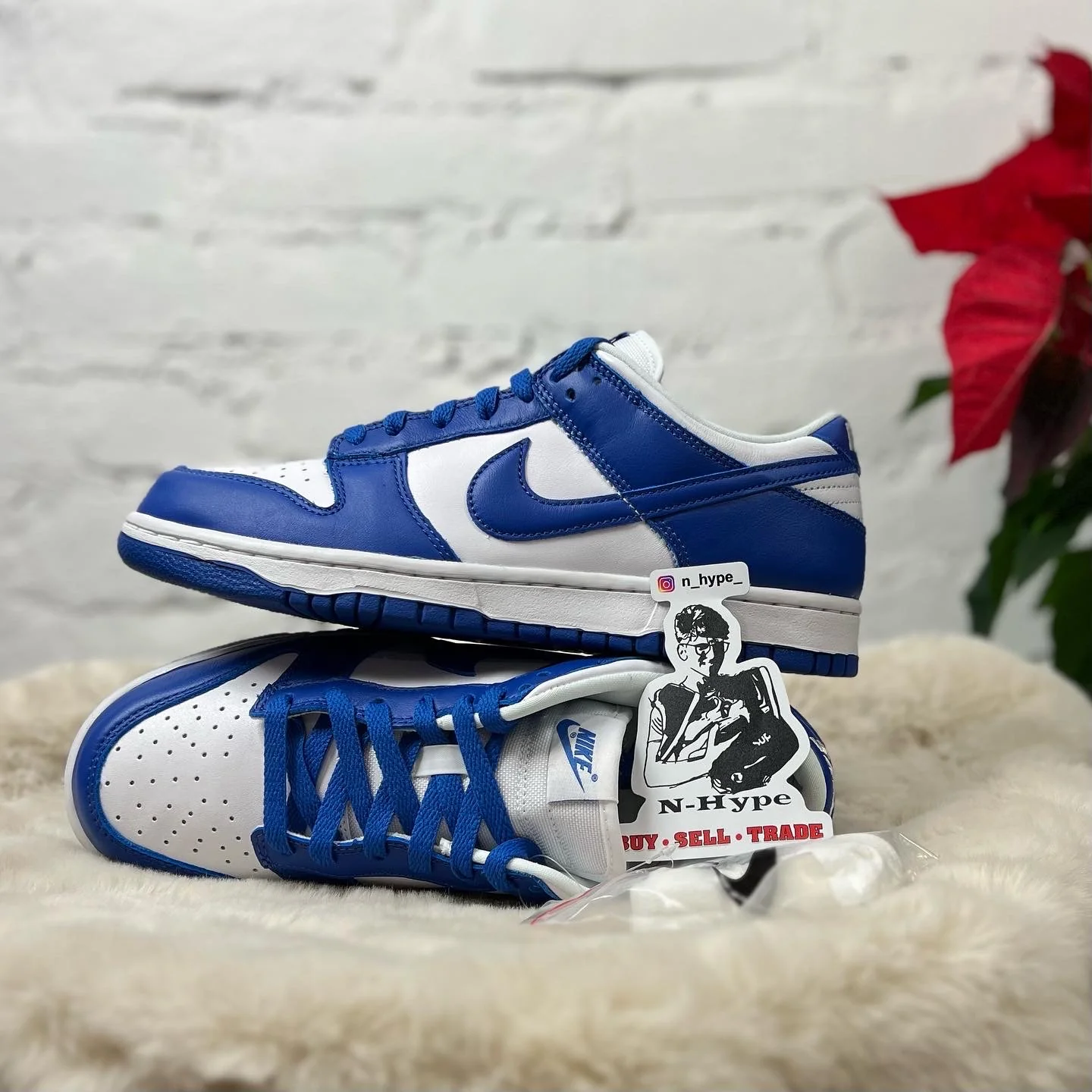 Nike Dunk Low SP Kentucky - Image 7